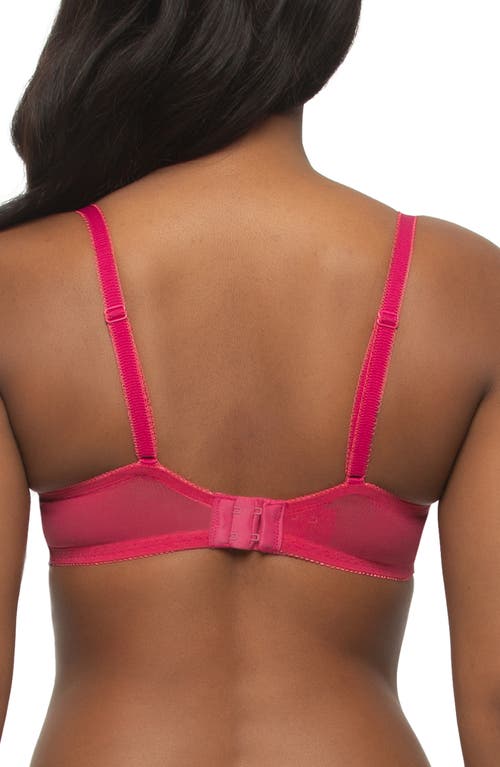 Felina Lola Underwire Bra In Sangria/camellia Rose