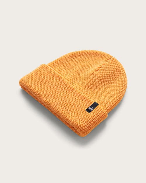 Hemlock Ranger Beanie In Apricot