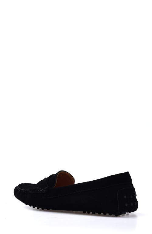 National Comfort Talulah Penny Loafer In Black Suede