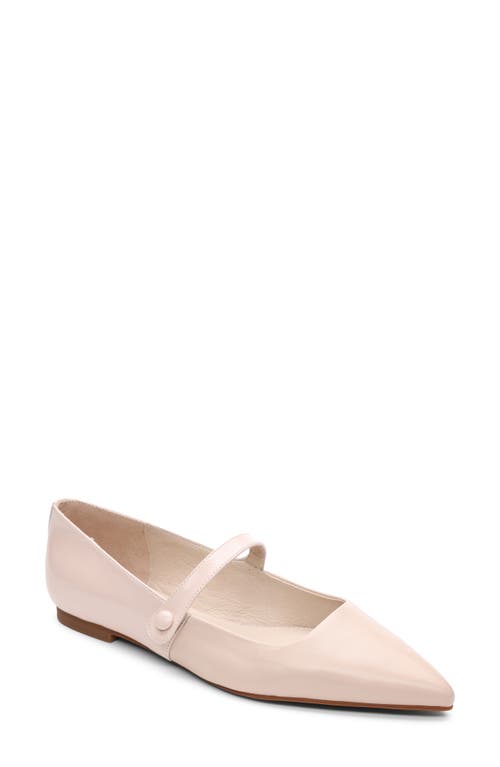 Shop Sanctuary Clamour Pointed Toe Flat In Coconut Creme