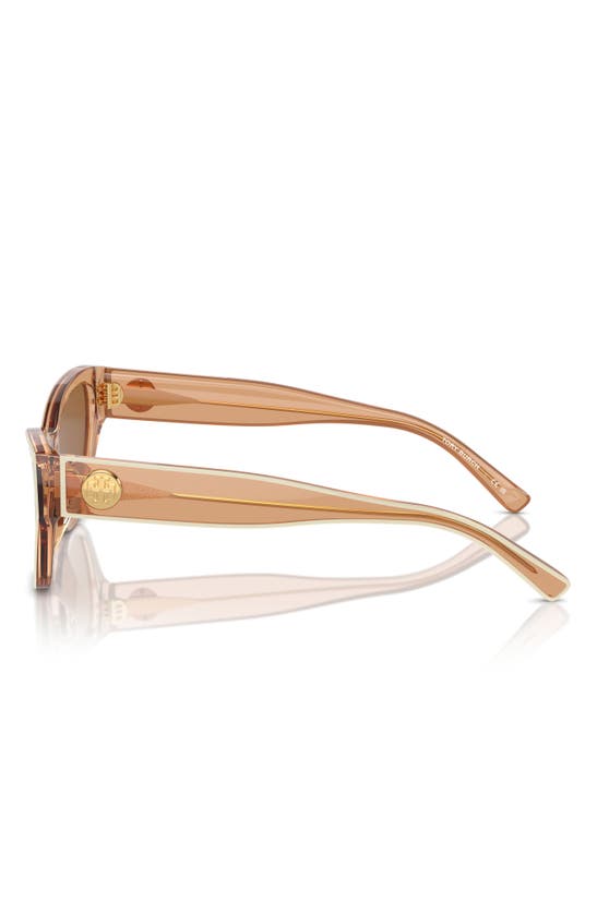 Tory Burch 54mm Cat Eye Sunglasses In Brown