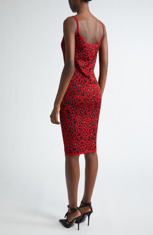 Shop Versace Animalier Leopard Jacquard Body-con Sweater Dress In Lipstick Red