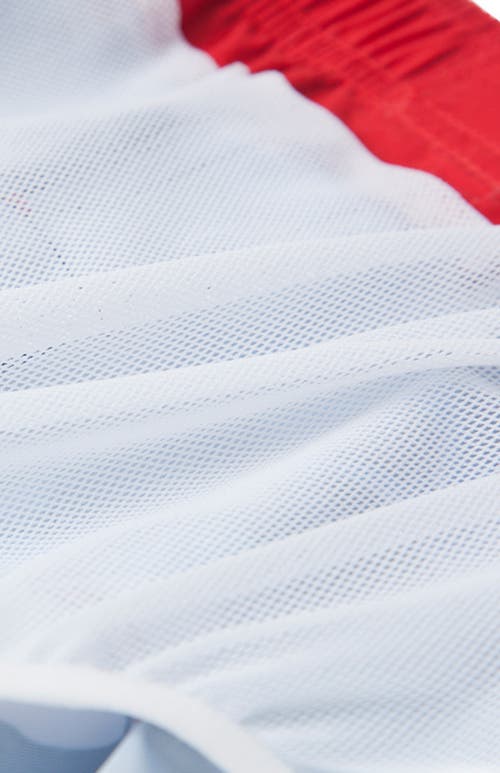 Rokka&rolla Toddler Swim Trunks With Mesh Lining Upf 50+ In Baby Blue Shark