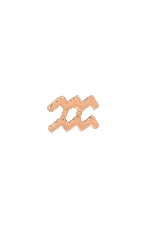 BYCHARI Zodiac Stud Earrings in Aquarius