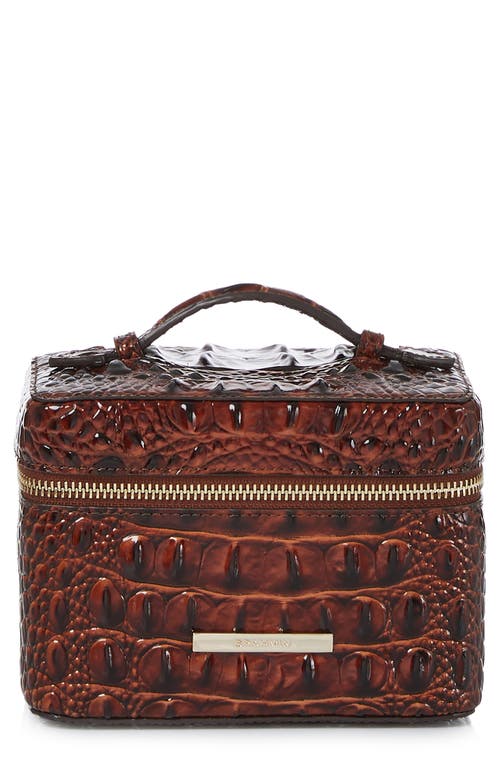 Small Charmaine Croc Embossed Leather Train Case in Pecan