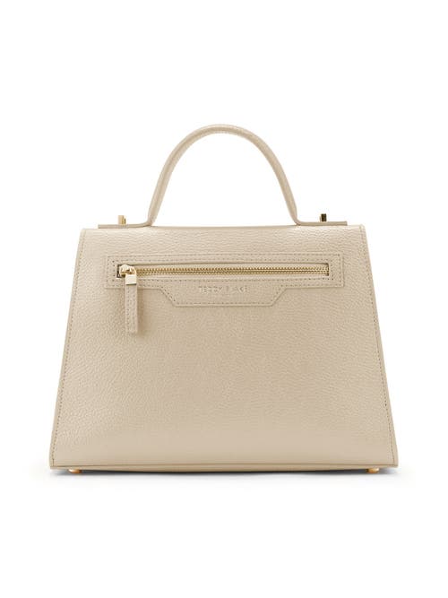 Teddy Blake Ava 11" In Cream