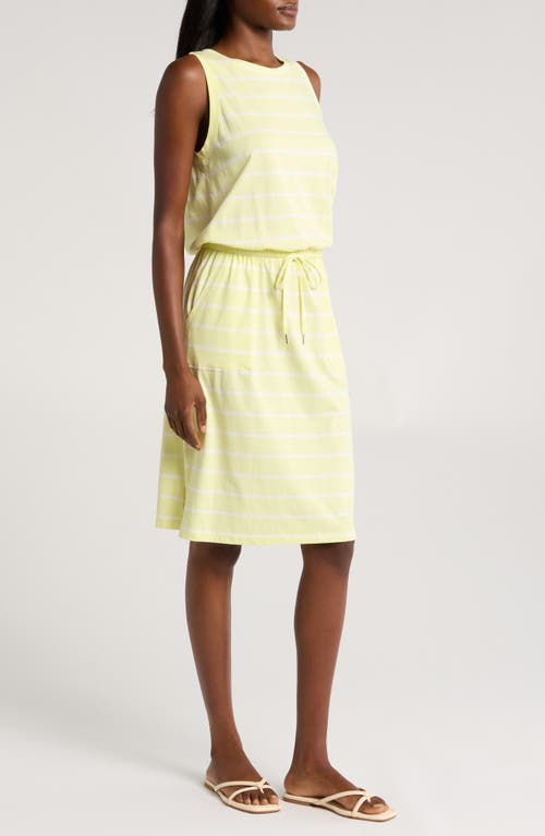 Shop C&c California C & C California Ira Sleeveless Cotton Blend Drawstring Belt Dress In Green Stripe