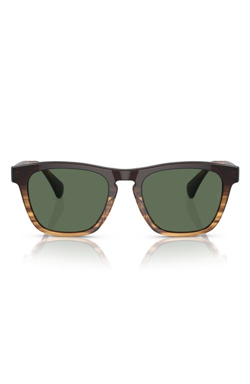 Oliver Peoples R-3 54mm Polarized Round Sunglasses In Cortado/g-15 Polar