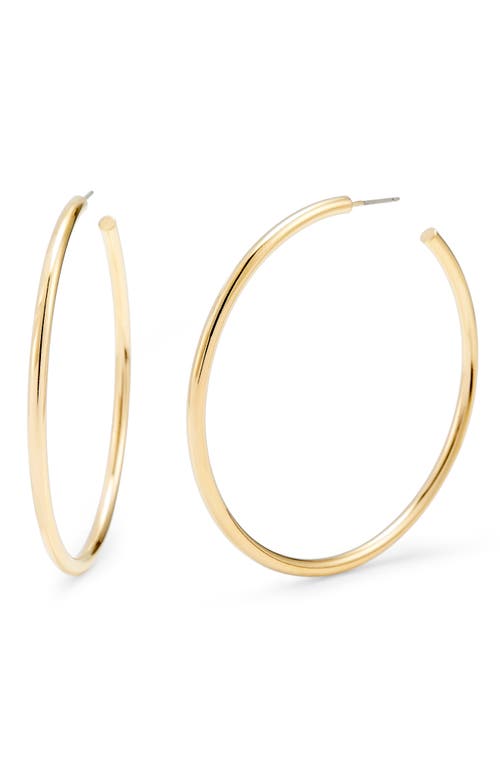 Hayley Hoop Earrings in Gold