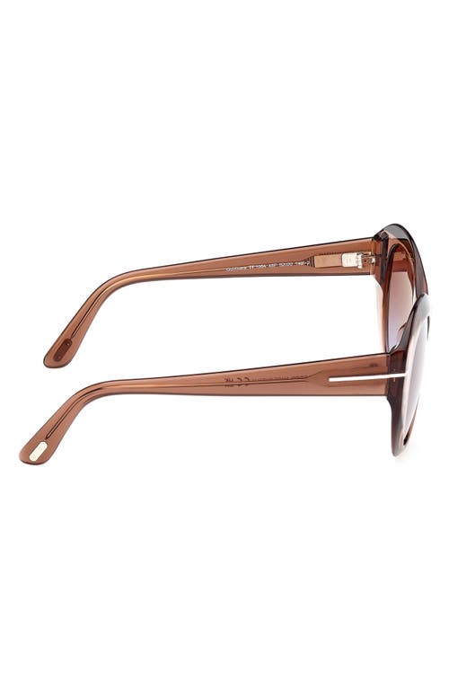 Tom Ford Guinivere 52mm Round Sunglasses In Dark Brown/gradient Brown