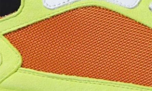 Buscemi New Basket Low Top Sneaker In Orange
