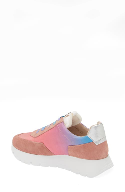 Shop Wonders Odisei Sneaker In Trend Rosa/nylon Rosa