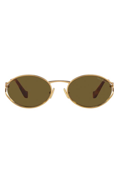 54mm Oval Sunglasses in Dark Brown
