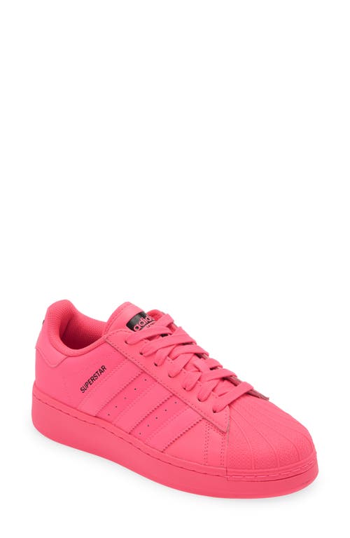 adidas Superstar XLG Sneaker in Lucid Pink/Lucid Pink/Black at Nordstrom, Size 6