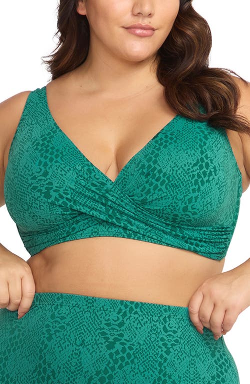 Shop Artesands Ekhis Delacroix Bikini Top In Green