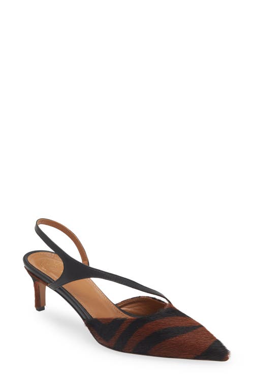 ATP ATELIER Riano Genuine Calf Hair Pointed Toe Slingback Pump Brandy/Black at Nordstrom,