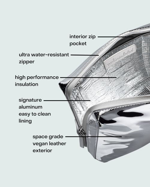 Wellinsulated Performance Beauty Bag Large In Silver