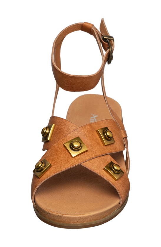 Shop Antelope Reza Stud Sandal In Tan Leather