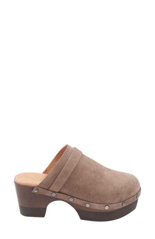 Andre Assous Women's Olivia Studded Clogs In Desert Taupe
