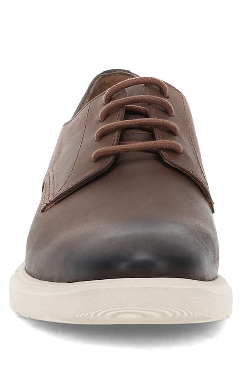 Shop Frye Connor Derby In Chocolate