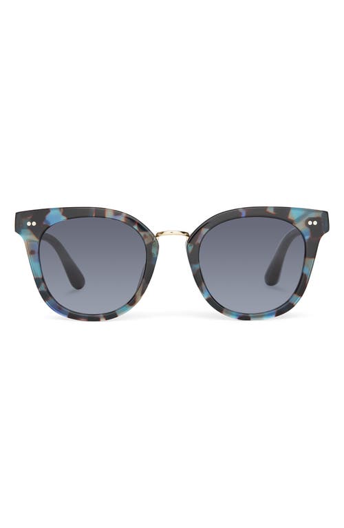 Toms Cecilia 50mm Small Cat Eye Sunglasses In Blue Tortoise/dark Grey