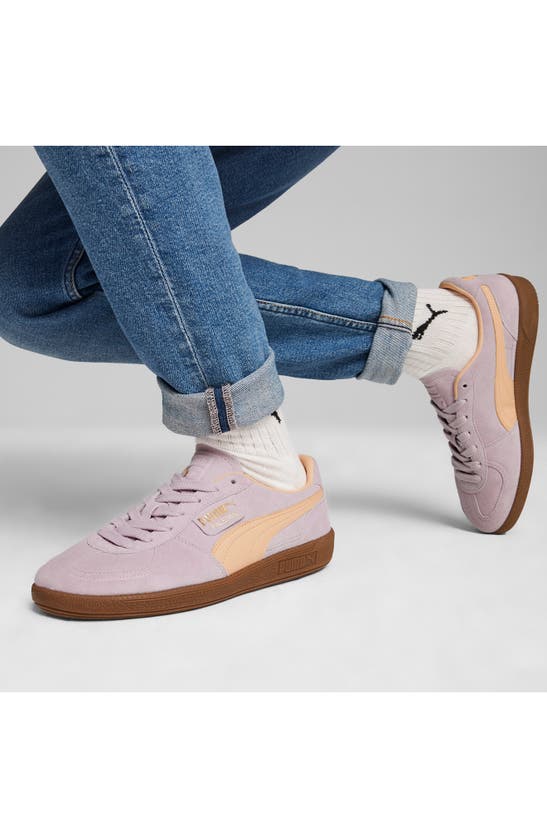 Puma Palermo Sneaker In Grape Mist-peach Fizz