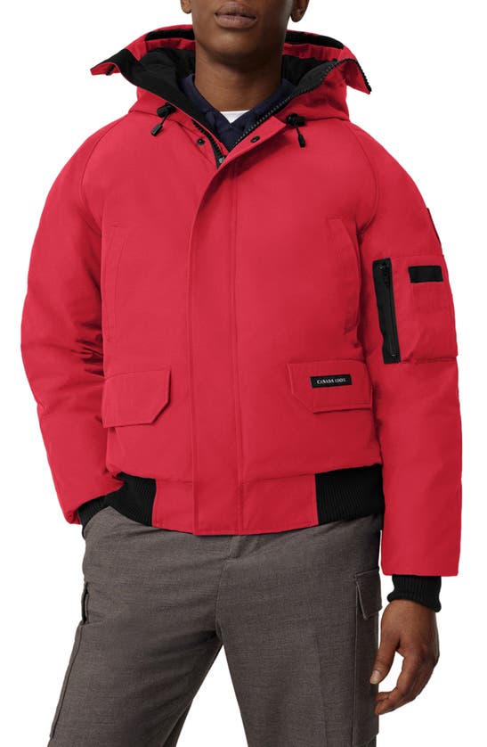 Canada Goose Chilliwack 625-fill Power Down Bomber Jacket In Fortune Red