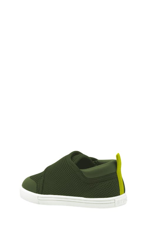 Stonz Kids' Cruiser Sneaker In Cypress Lantern Green
