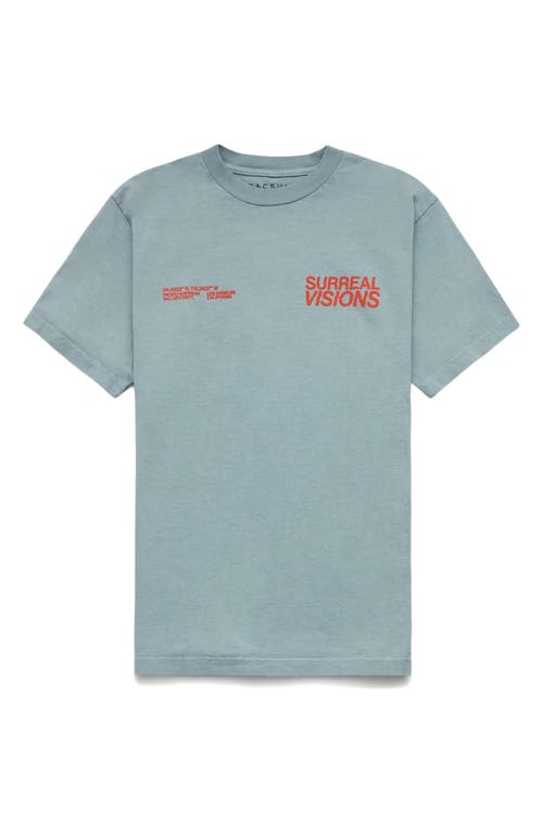 PacSun Surreal Visions Graphic T-Shirt in Gray