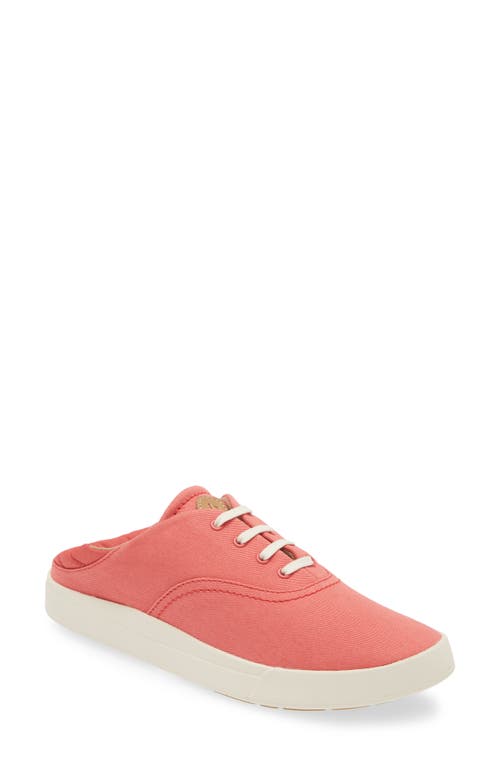 Olukai Kohu Sneaker In Red