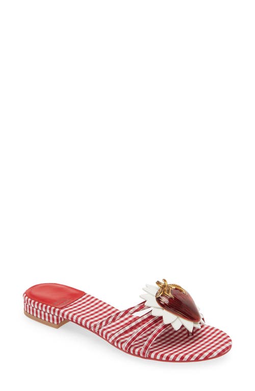 Abeegail Flip Flop in Red White Gingham