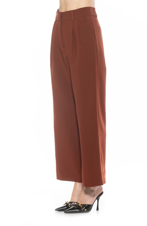Alexia Admor Elodie Pants In Brown