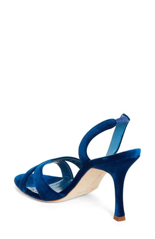 Shop Manolo Blahnik Callasli Sandal In Cobalt Blue Velvet