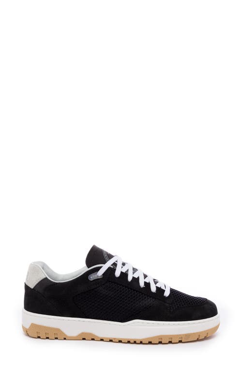 P448 Mason Low Top Sneaker In Spider