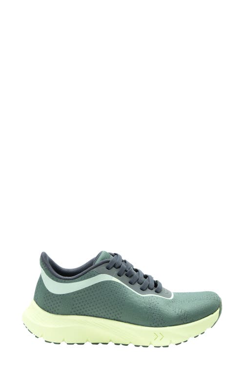 Alegria By Pg Lite Rize Sneaker In Matcha Pop