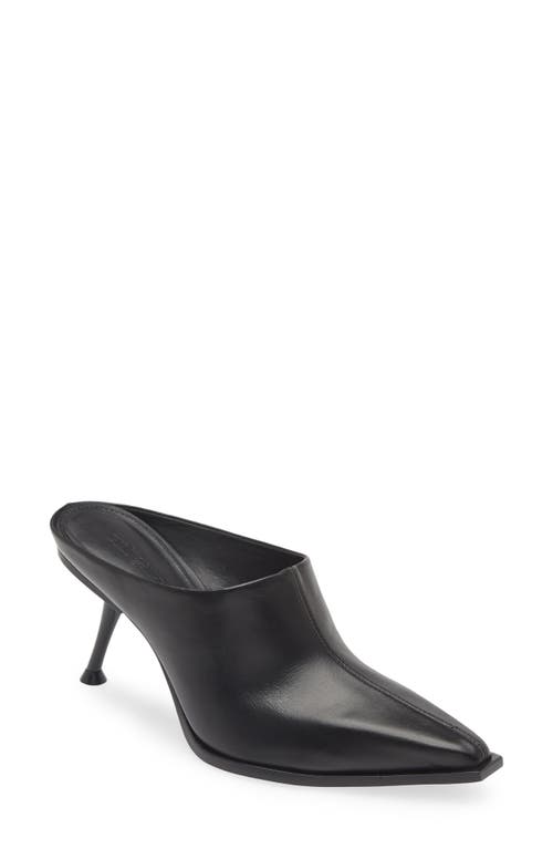 Lina Pointed Toe Mule in Black