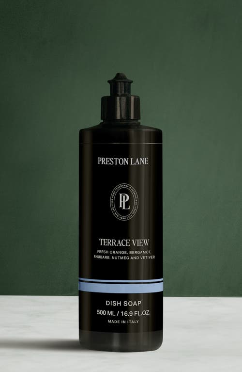 Preston Lane Terrace View Dish Soap In Terrace View