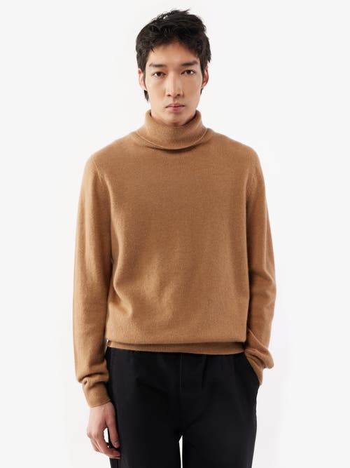 Shop Gobi Cashmere Turtle Neck In Sheepskin