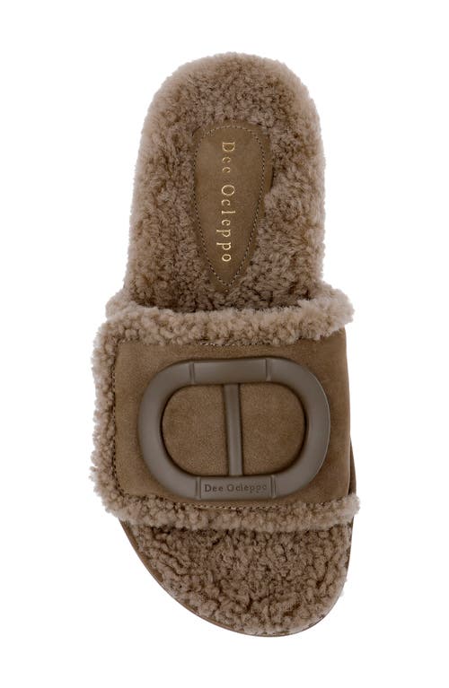 Shop Dee Ocleppo Lima Genuine Shearling Platform Sandal In Dark Taupe