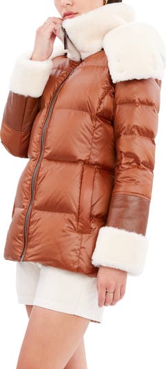 Dawn levy 2025 coats nordstrom