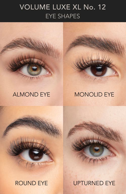 Pro Lash Single False Lash Set In Volume Luxe Xl No. 12
