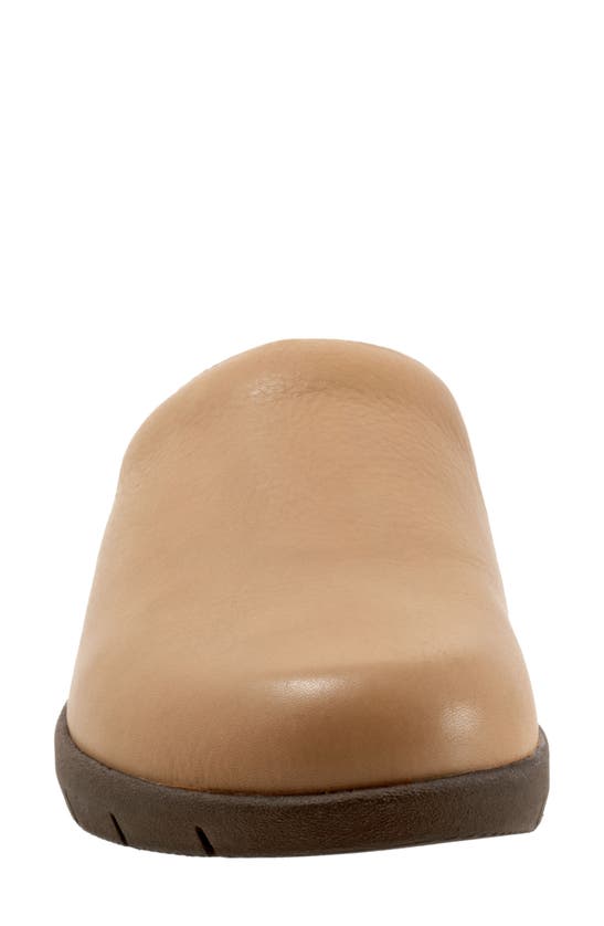 Softwalk Andria Mule In Beige