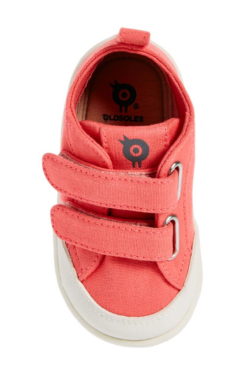 Shop Old Soles Kids' Salty Sneaker In Watermelon/sporco