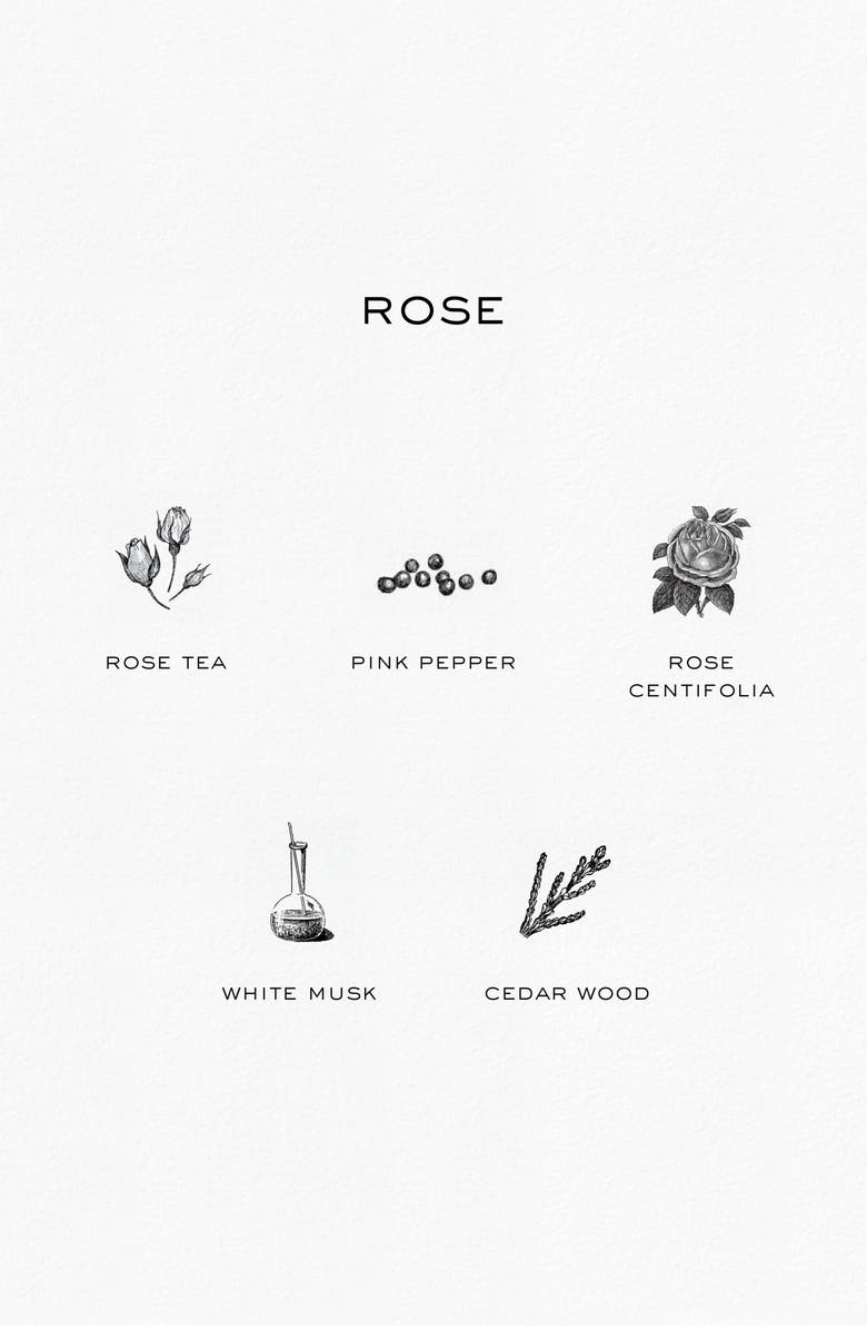 rag & bone Rose Eau de Parfum, Alternate, color, 