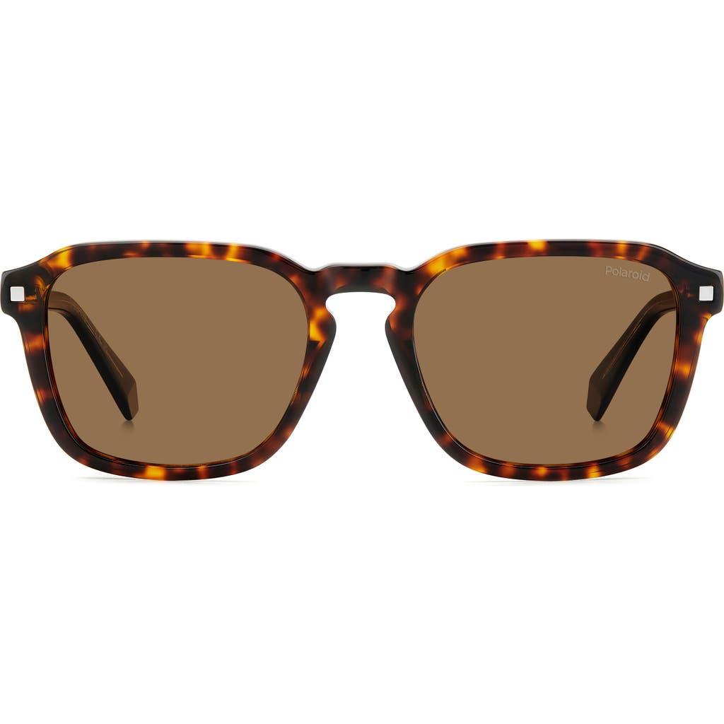 Polaroid 53mm Polarized Rectangular Sunglasses In Brown