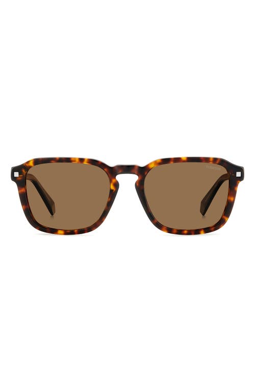 Shop Polaroid 53mm Polarized Rectangular Sunglasses In Havana/bronze Polarized