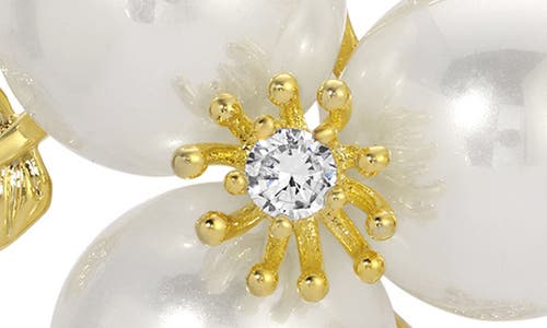 Eye Candy Los Angeles Eva Cubic Zirconia Stud Earrings In Gold