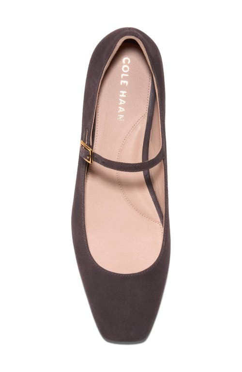 Shop Cole Haan Bridge Mary Jane Ballet Flat In Dark Chocolate Suede