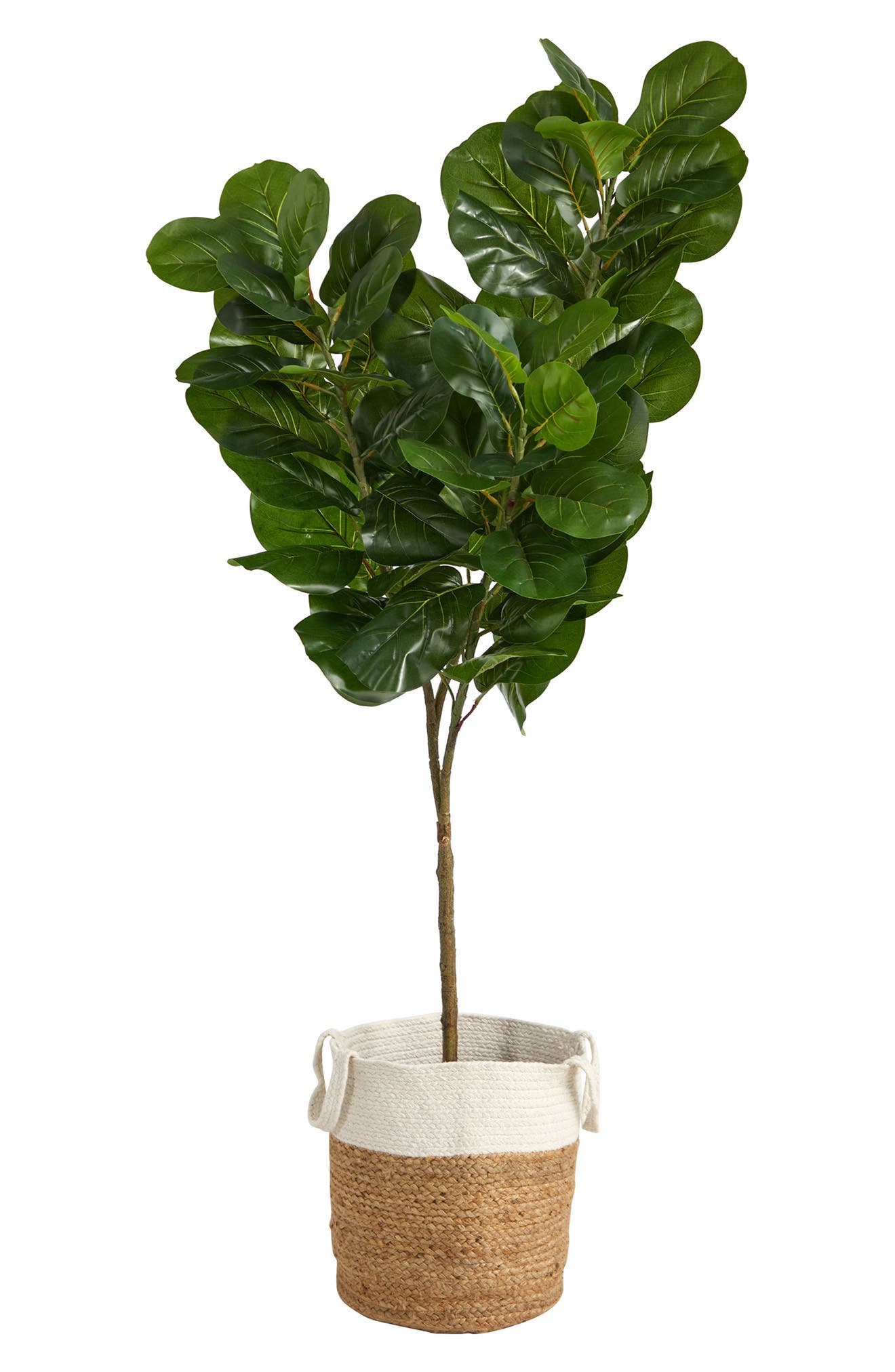 NEARLY NATURAL Artifical Fiddle Leaf Fig Tree in Handmade Basket