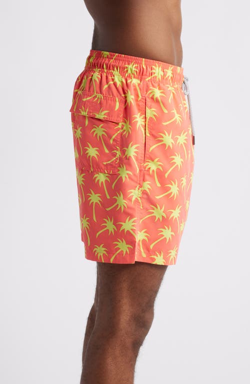 Shop Tom & Teddy Palm Tree Print Performance Swim Trunks In Coral & Lime